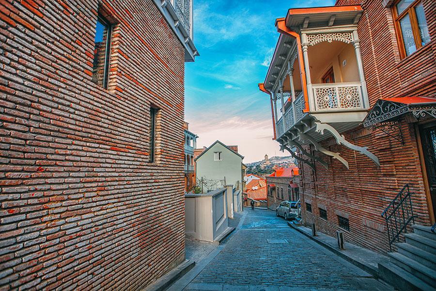 Anano Apartment On Botanikuri Tbilisi Eksteriør billede